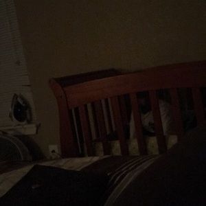 Meet your Posher, Amanee